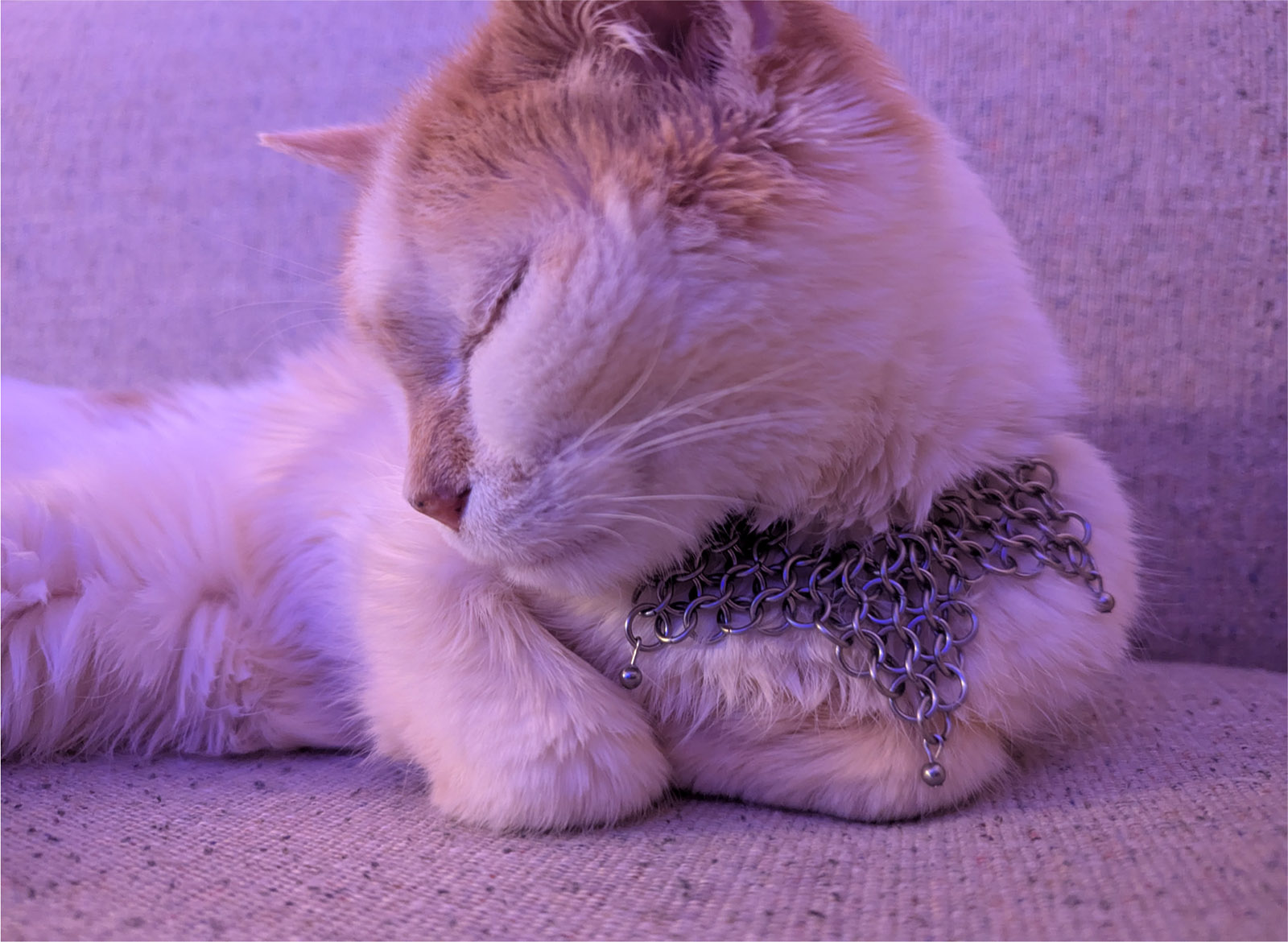 Barbed Wire Chain alternate view