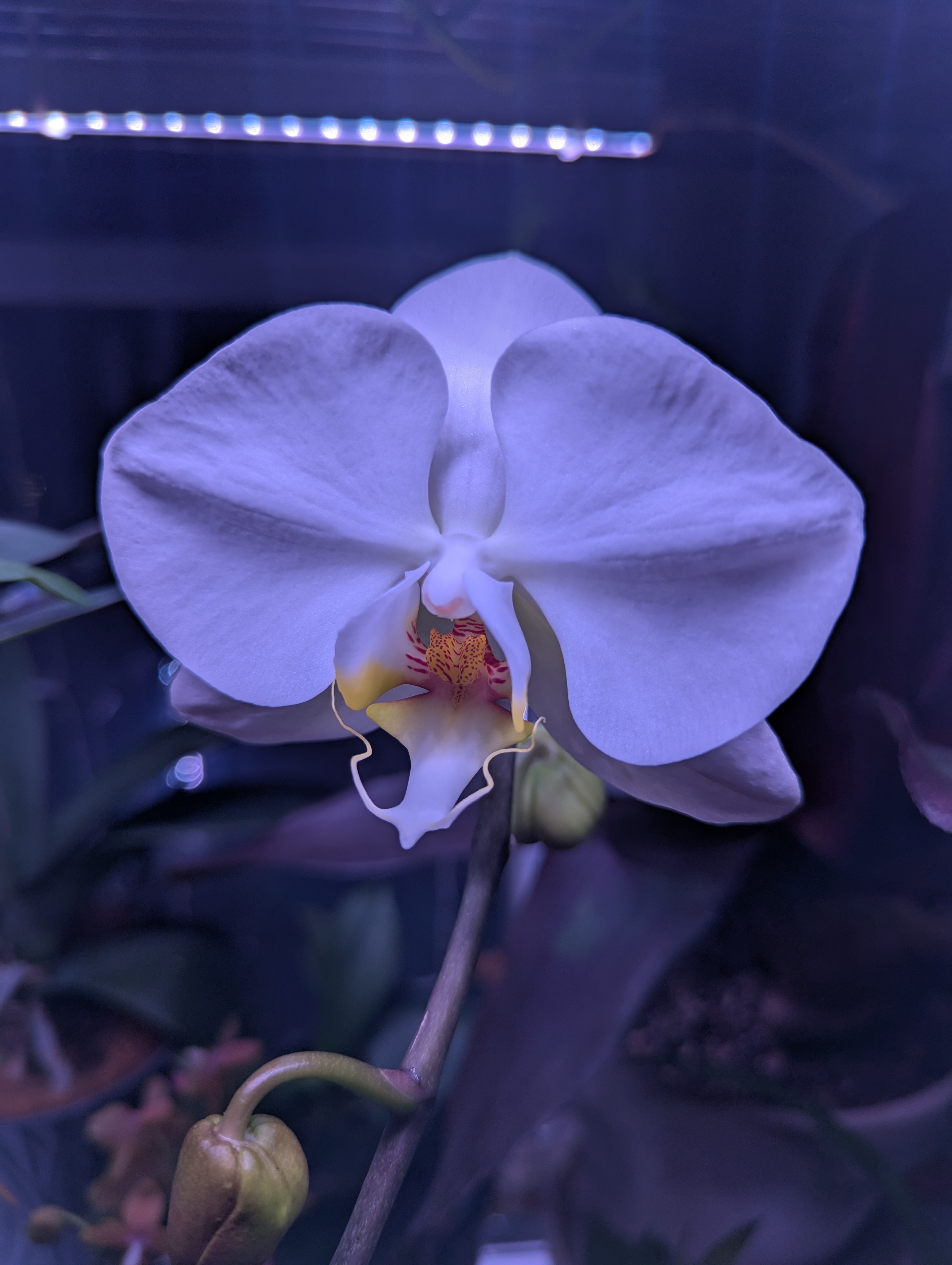 Selected work placeholder